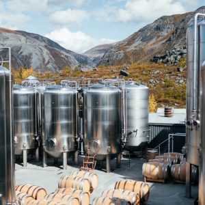 Bulk Canadian Whisky - UK Supplier