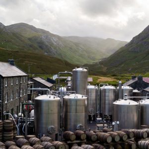 Bulk Irish Whiskey - UK Supplier