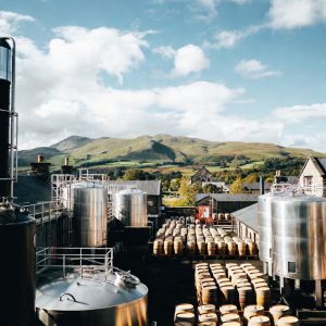 Bulk Scotch Whisky - UK Trade Supply